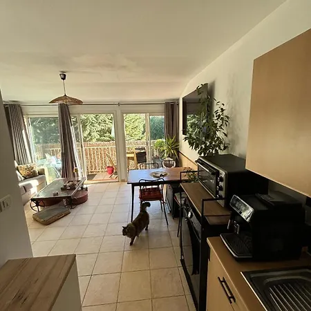 40 M2 Piscine Vue Panoramique Sur Cupabia